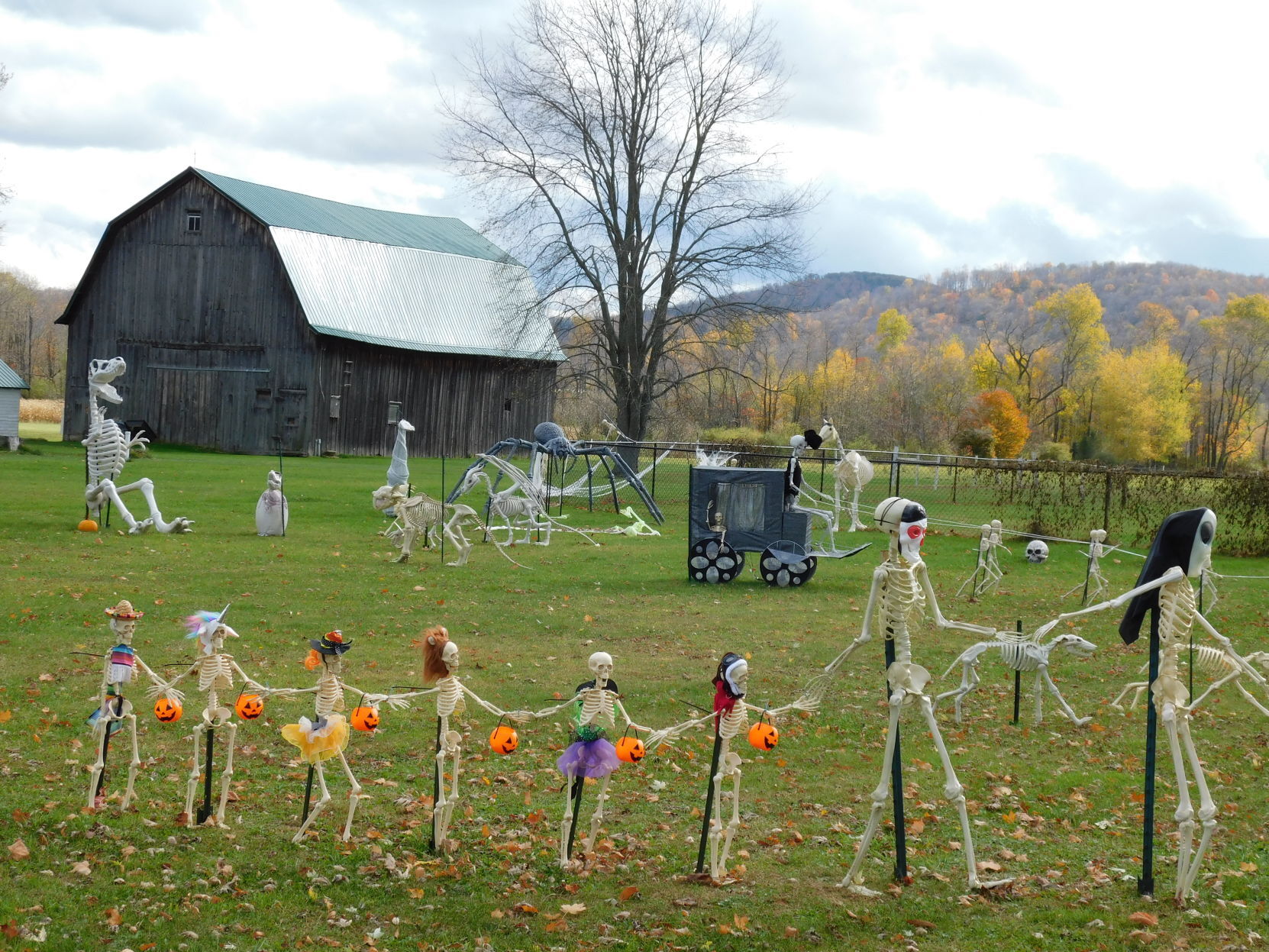 This lawn party needs some livening up!